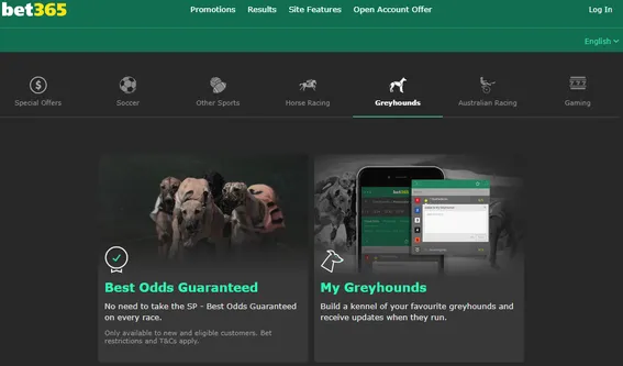 Bet365 Greyhound Racing Sports Betting